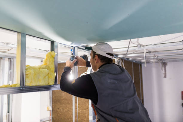 Best DIY Insulation Kits and Guidance in South Williamsport, PA