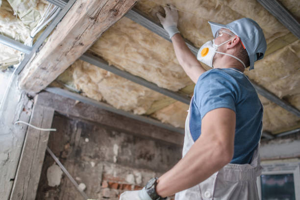 Best Specialized Insulation Services in South Williamsport, PA